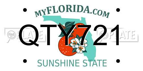 QTY721 Florida License Plate