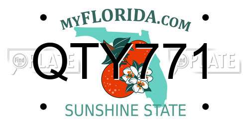 QTY771 Florida License Plate