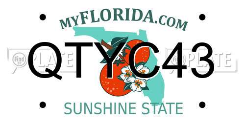 QTYC43 Florida License Plate