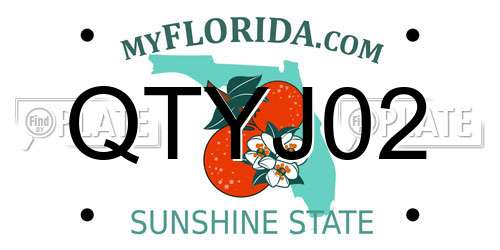 QTYJ02 Florida License Plate