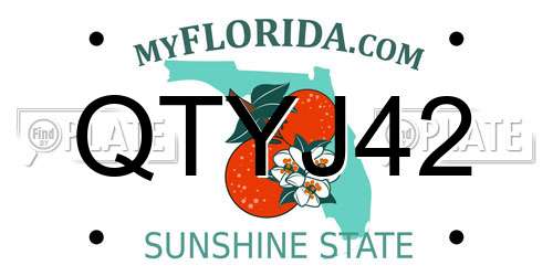 QTYJ42 Florida License Plate