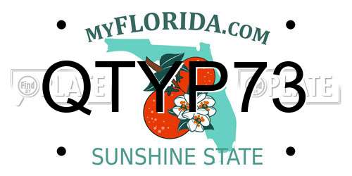 QTYP73 Florida License Plate
