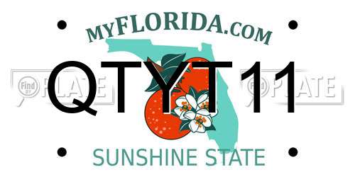 QTYT11 Florida License Plate