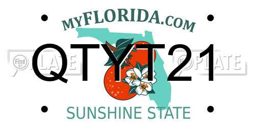 QTYT21 Florida License Plate