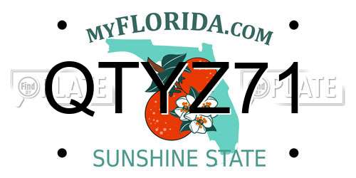 QTYZ71 Florida License Plate