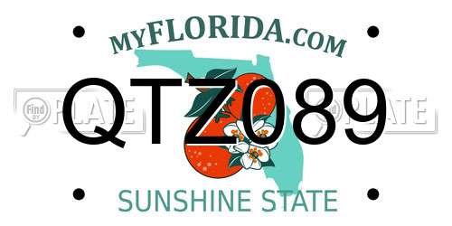 QTZ089 Florida License Plate