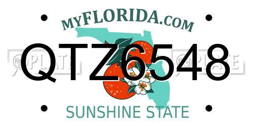 QTZ6548 Florida License Plate