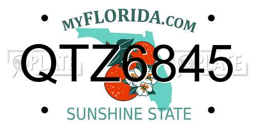 QTZ6845 Florida License Plate