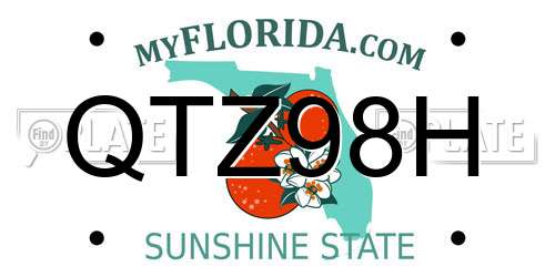QTZ98H Florida License Plate