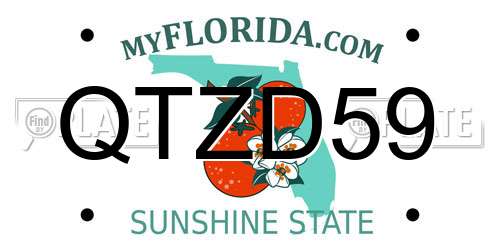QTZD59 Florida License Plate