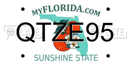 QTZE95 Florida License Plate