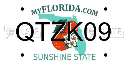 QTZK09 Florida License Plate
