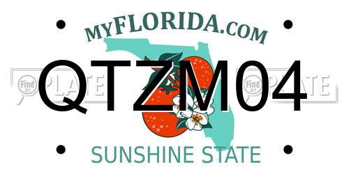 QTZM04 Florida License Plate