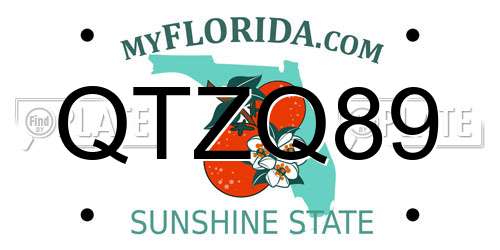 QTZQ89 Florida License Plate