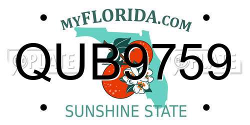QUB9759 Florida License Plate