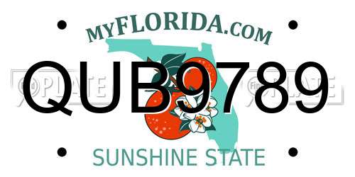 QUB9789 Florida License Plate