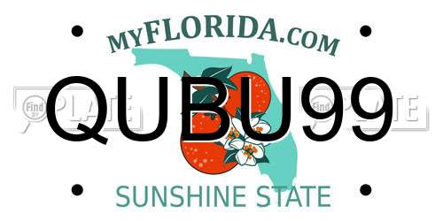 QUBU99 Florida License Plate