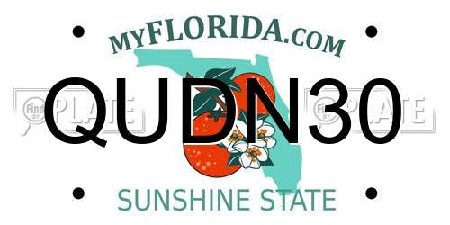 QUDN30 Florida License Plate