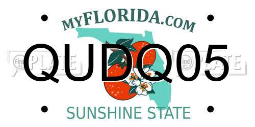 QUDQ05 Florida License Plate