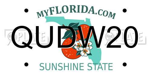 QUDW20 Florida License Plate
