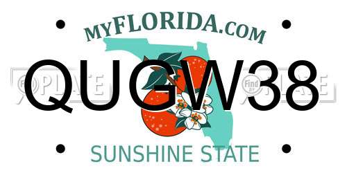 QUGW38 Florida License Plate