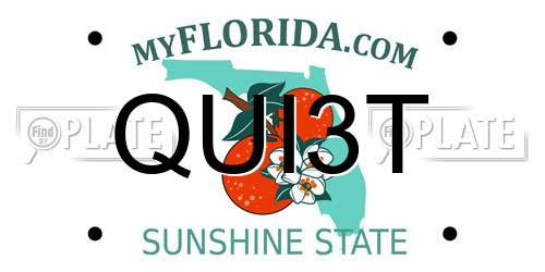 QUI3T Florida License Plate
