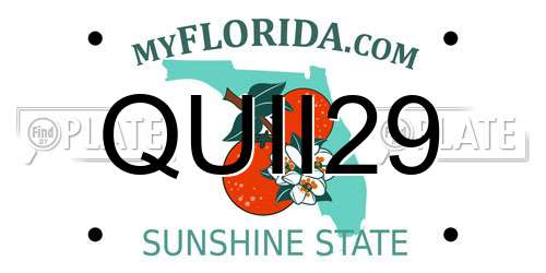 QUII29 Florida License Plate