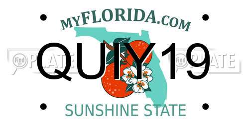 QUIY19 Florida License Plate
