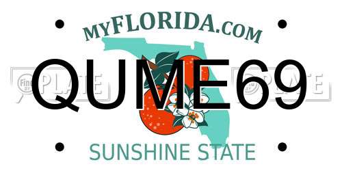 QUME69 Florida License Plate