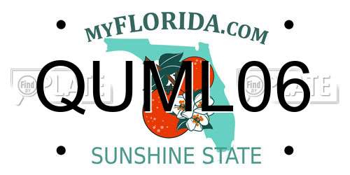 QUML06 Florida License Plate