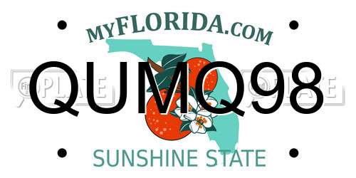 QUMQ98 Florida License Plate