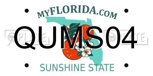 QUMS04 Florida License Plate