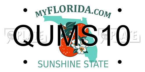 QUMS10 Florida License Plate