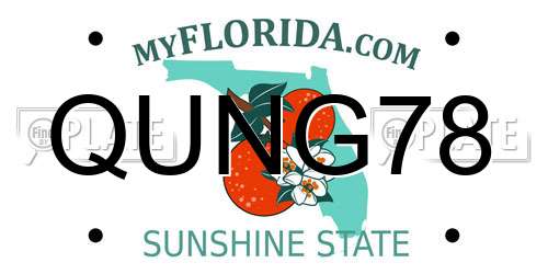 QUNG78 Florida License Plate