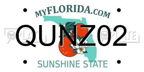 QUNZ02 Florida License Plate