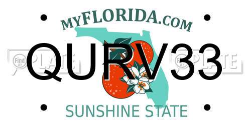 QURV33 Florida License Plate