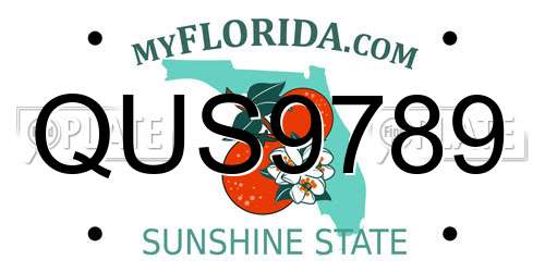 QUS9789 Florida License Plate