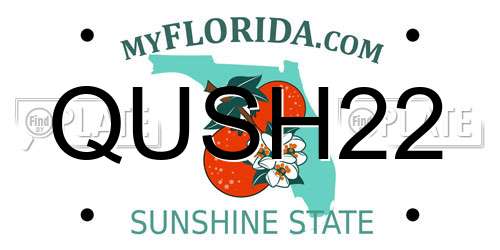 QUSH22 Florida License Plate