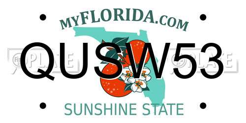 QUSW53 Florida License Plate