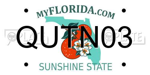 QUTN03 Florida License Plate