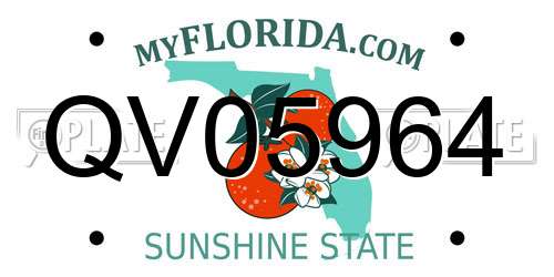 QV05964 Florida License Plate