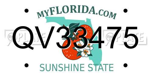 QV33475 Florida License Plate