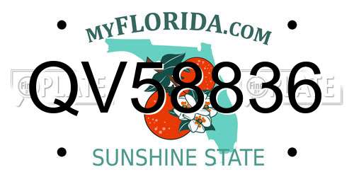 QV58836 Florida License Plate
