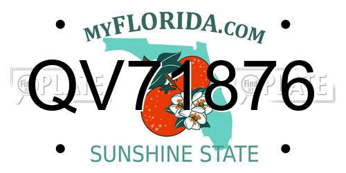 QV71876 Florida License Plate
