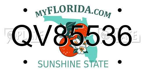 QV85536 Florida License Plate