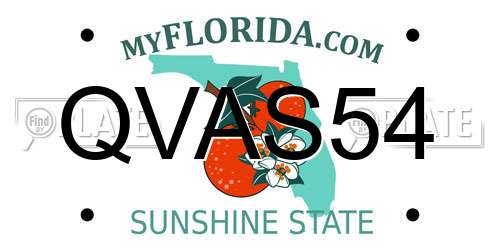 QVAS54 Florida License Plate