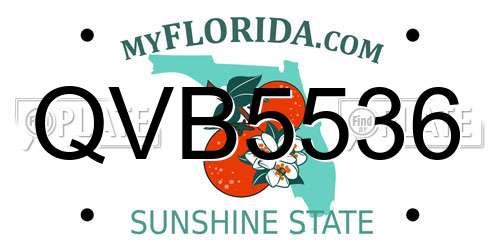 QVB5536 Florida License Plate