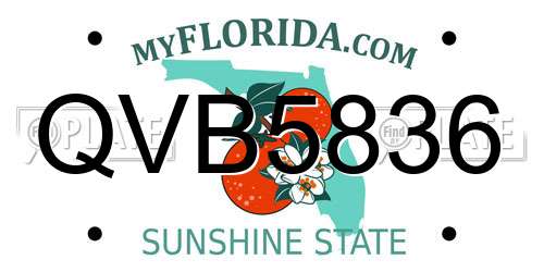 QVB5836 Florida License Plate