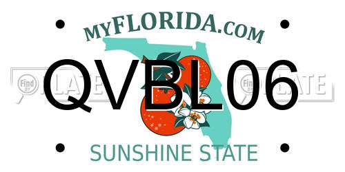 QVBL06 Florida License Plate