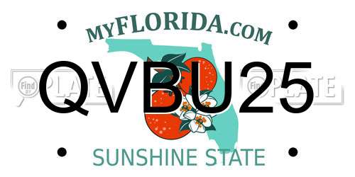 QVBU25 Florida License Plate
